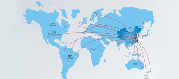 Global Service