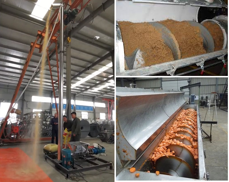 Feed Screw Conveyor Application