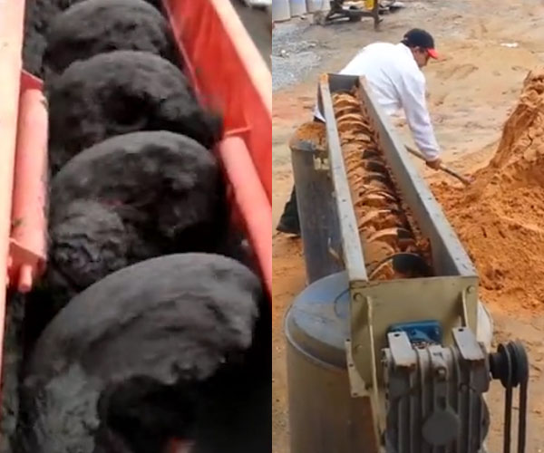 Shaftless Screw Conveyor: Sludge and Sand Conveying Site