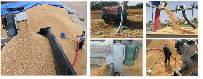 Flexible Grain Screw Conveyor